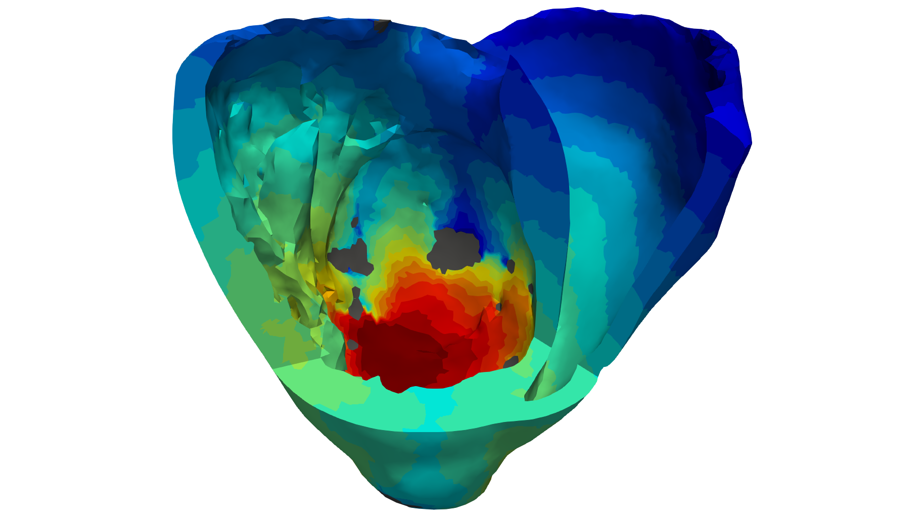 Simulation numérique d'un coeur
