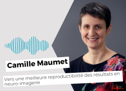 Miniature podcast Camille Maumet
