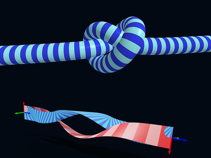 Illustration d'un noeud et d'un ruban modélisés en 3D